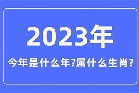 2005是什么年|2005年